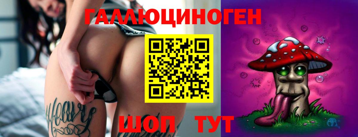 Псилоцибиновые грибы мухоморы  Вход с VPN  Псилоцибиновые грибы MAGIC MUSHROOMS  Дербент 
